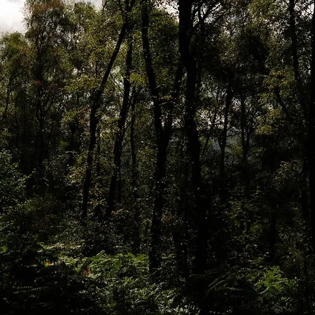 3 Bedroom Glass-house In Auvergne Vila