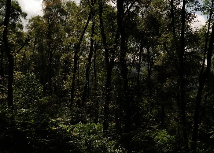 3 Bedroom Glass-house In Auvergne Vila